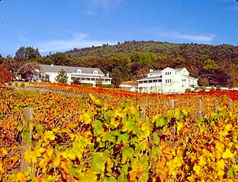 Syrah and Malbec vineyards by Arrowood winery   Glen Ellen Sonoma Co California