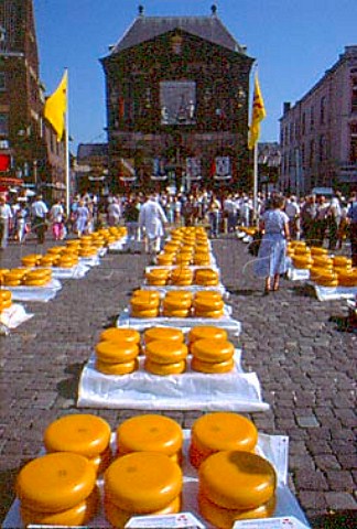 Cheeses in the Market Place in front of   the Waag Weighhouse   Gouda  Netherlands