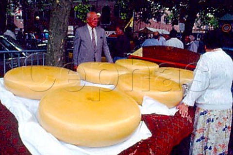 Huge Wagenwiels of Gouda cheese about   to be inspected at the Wednesday Cheese   market Woerden Netherlands