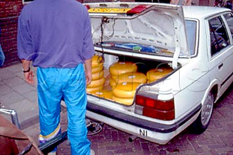 Car boot full of cheeses ready for the   Wednesday Cheese market Woerden   Netherlands