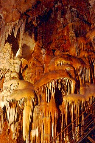 Stalactites in Aven de Marzal caves    Ardche France RhneAlpes