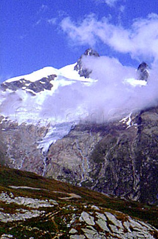 Aiguille des Glaciers in the  massif du MontBlanc   Savoie  HauteSavoie France   RhneAlpes