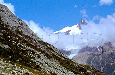 Aiguille des Glaciers in the  Massif du Mont Blanc   Savoie  HauteSavoie France   