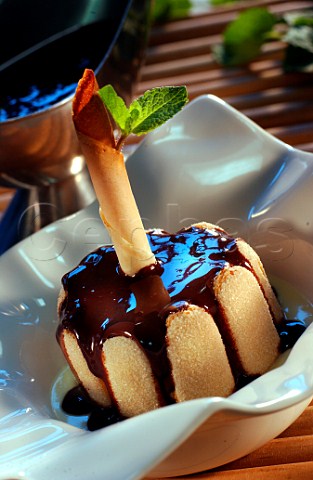 Chocolate dessert with sponge fingers