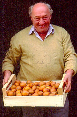Grower with box of his Martin Sec pears   Saluzzo Piemonte Italy