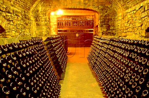 Pupitres of sparkling wine in the    cellars of Guido Berlucchi   Borgonato di Cortefranca Lombardy   Italy    Franciacorta