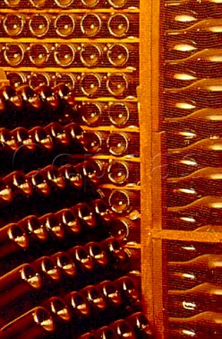 Sparkling wine maturing in the cellars   of Guido Berlucchi Borgonato di   Cortefranca Lombardy Italy      Franciacorta