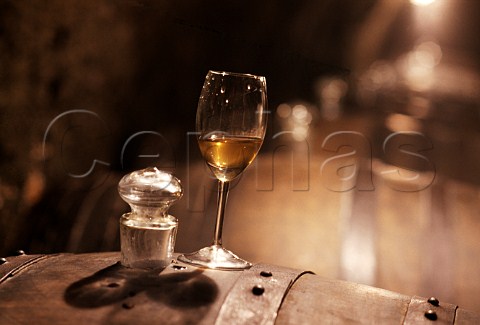 Glass of Tokaji in the barrel cellar of   Istvan Szepsy Mad Hungary