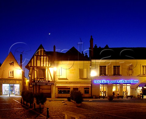 Brasserie and restaurant in the town square Bler   IndreetLoire France  Touraine