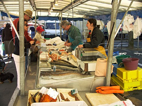 Fish stall in the openair market Chinon   IndreetLoire France  Touraine