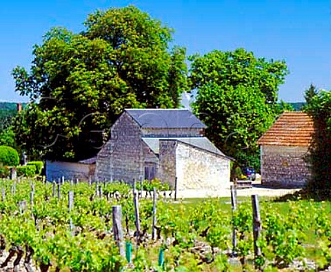 Domaine Charles Joguet seen over its vineyards   Sazilly IndreetLoire France  AC Chinon DELETED
