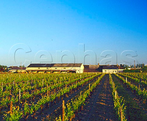 Buildings and vineyards of Domaine de la Lande   Delaunay Pre et Fils Bourgueil IndreetLoire   France Bourgueil