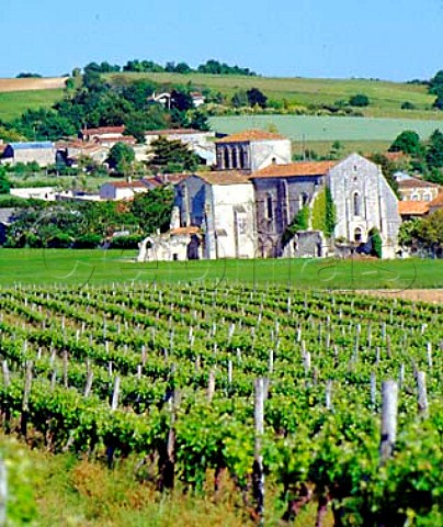 Vineyard and church at MarcillacLanville France    Cognac