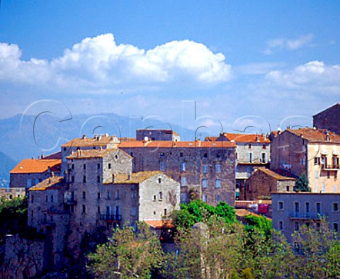 Sartne CorseduSud Corsica France