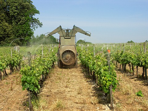 Spraying vines near Vibrac  Charente France   Cognac