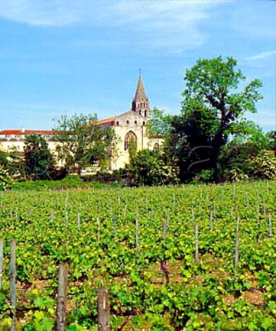 Vineyard and church Bassac    Charente France Cognac