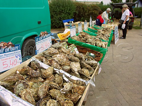 Oysters on sale in Blaye market  Gironde France  Aquitaine