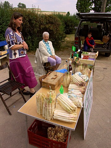 Stall selling local asparagus in Blaye market  Gironde France  Aquitaine