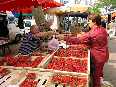 Woman buying strawberries in Blaye market  Gironde   France Aquitaine