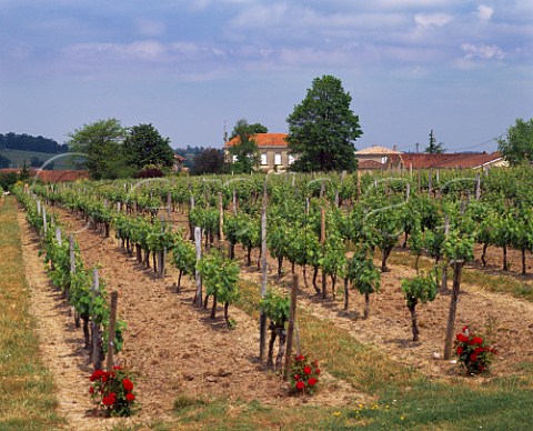 Chteau HautGuiraud and its vineyard    Bourg Gironde France  Ctes de Bourg  Bordeaux