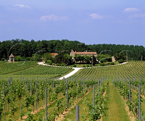 Chteau Corbin and its vineyards Bertin Gironde   France MontagneStmilion  Bordeaux