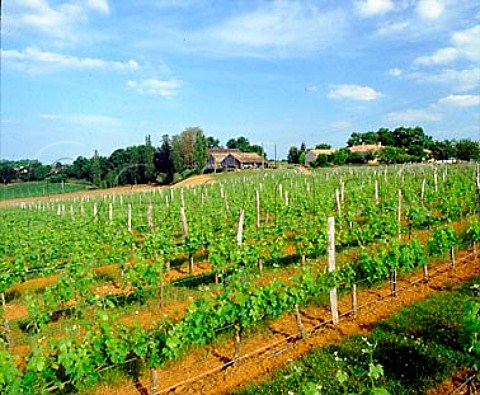 Chteau Teyssier and its vineyards Puisseguin   Gironde France   PuisseguinStmilion  Bordeaux