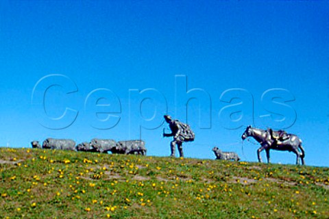 Monument to the shepherds and sheep who   are the basis for the wealth of   Punta Arenas the worlds southernmost   city    Patagonia Chile