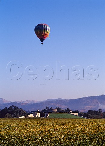 Hotair balloon above Opus One winery   Oakville Napa Co California