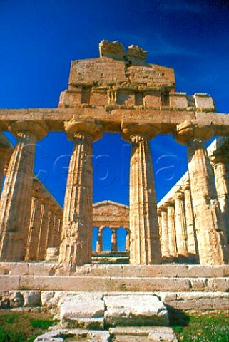 Greek Temple of Athena at Paestum   Campania Italy