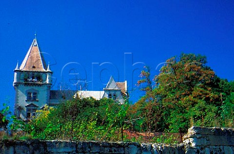 Chateau and small vineyard Budafok   near Budapest Hungary