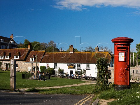 The Tiger Inn public house East Dean East Sussex   England