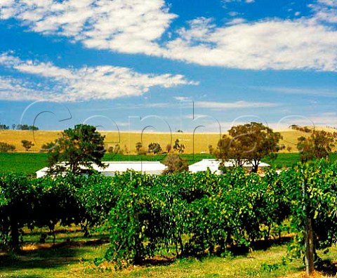 St Huberts Vineyards Yarra Valley Victoria   Australia