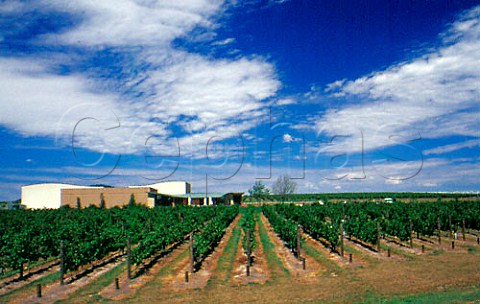 Vineyards and winery Oakridge Estate   Victoria Australia  Yarra Valley