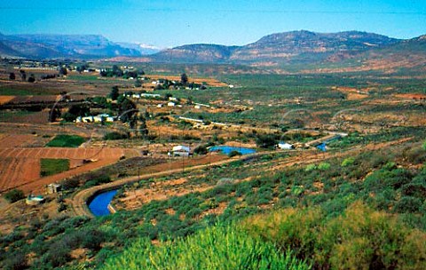 Winter in the Olifants River Valley   South Africa