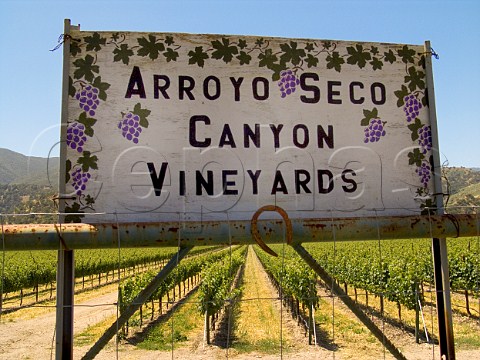 Arroyo Seco Canyon Vineyards Monterey Co   California