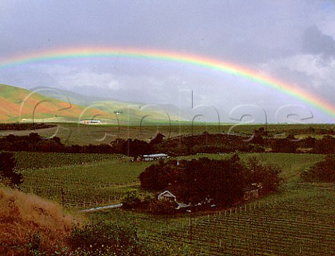 Rainbow over Byron Winery owned by Robert Mondavi   Santa Maria Mesa Santa Barbara Co California