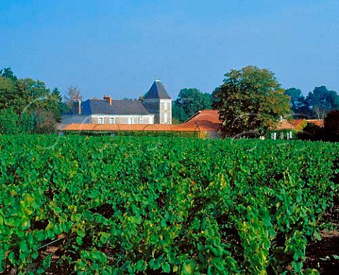 Chteau du Poyet viewed over its vineyard   near La ChapelleHeulin LoireAtlantique France  Muscadet de SvreetMaine
