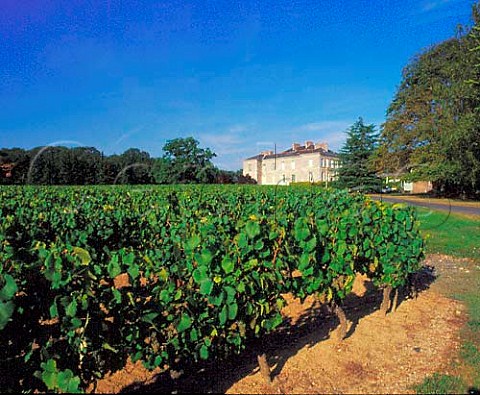 Chteau du ClraySauvion viewed over its vineyard   at Eolie near Vallet LoireAtlantique France  Muscadet de SvreetMaine