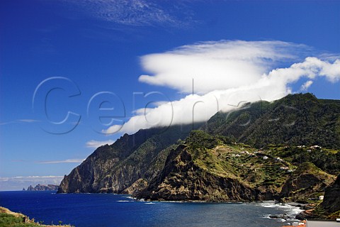 Vineyards and rocky coastline at Porto da Cruz    Madeira Portugal