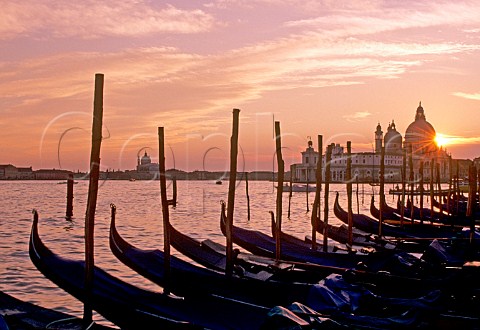 Gondolas at sunset at the Lido di San Marco Venice   Italy
