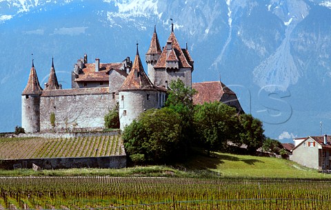 Chteau Aigle with vineyards in foreground   Switzerland