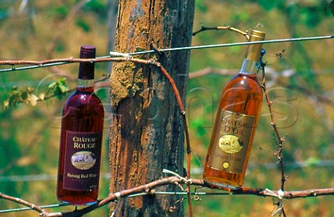 Bottles of Allied Domecq wine in  vineyard near Saigon Vietnam