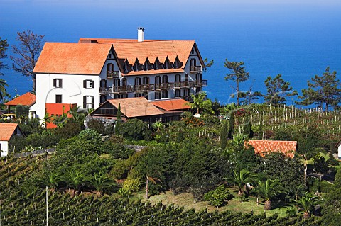 Sercial vineyard below Hotel Quinta do Furo   Santana The grapes are sold to the Madeira Wine   Company Madeira Portugal