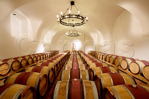 Barrel cellar of Schloss Halbthurn Winery   Halbthurn Burgenland Austria   Neusiedlersee