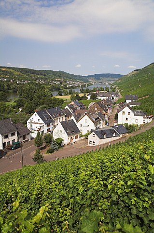 The wine village of Graach Germany  Mosel