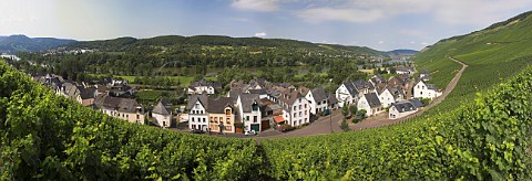 The wine village of Graach and Mosel River Germany   Mosel