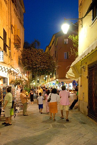 The budello of Laiguglia Liguria Italy