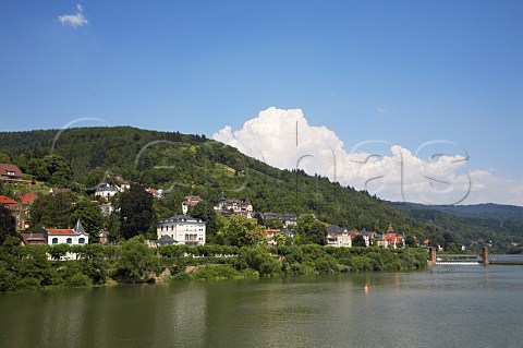 The Neckar River at Heidelberg BadenWrttemberg   Germany
