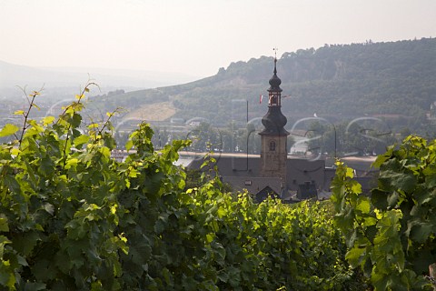 St Jacobs church Rdesheim seen over Bichofsberg   vineyard Germany  Rheingau