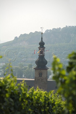 St Jacobs church Rdesheim seen over Bichofsberg   vineyard Germany  Rheingau